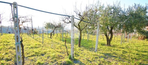 استوديو في Pollena Trocchia, Italy رقم 135814 3