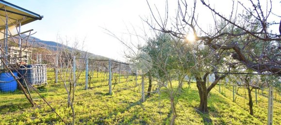 استوديو في Pollena Trocchia, Italy رقم 135814 8