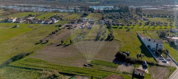 2 Schlafzimmer Haus in Santo Varao, Portugal, Nr. 165374 4