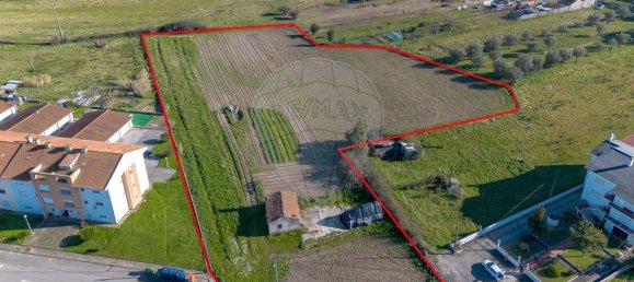 2 Schlafzimmer Haus in Santo Varao, Portugal, Nr. 165374 2