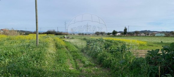 2 Schlafzimmer Haus in Santo Varao, Portugal, Nr. 165374 23