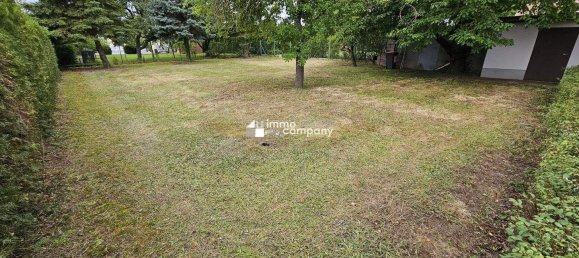 4-salle Maison à Trautmannsdorf an der Leitha, Austria No. 226659 7