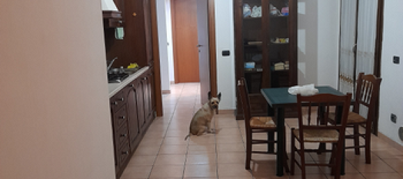 3 rooms Apartment in Milan, Italy No. 293246 4