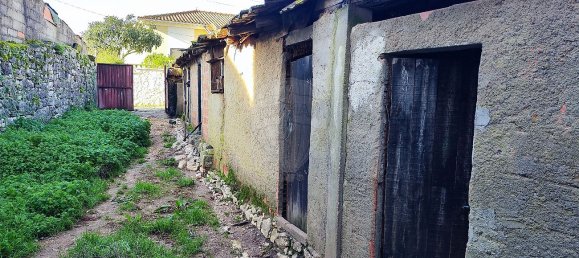 3 Schlafzimmer Haus in Ansiao, Portugal, Nr. 23089 13