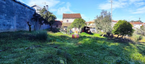 3 Schlafzimmer Haus in Ansiao, Portugal, Nr. 23089 5