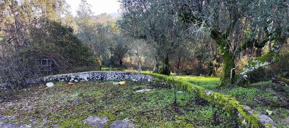 3 Schlafzimmer Haus in Ansiao, Portugal, Nr. 23089 17