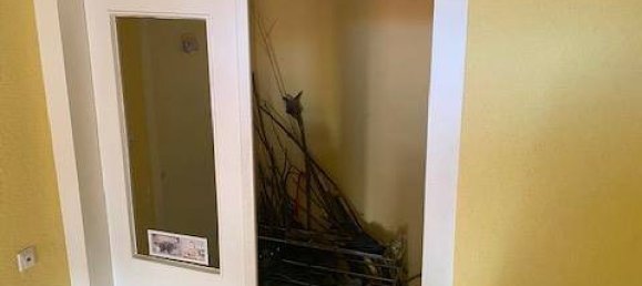 576m² Building in Jena, Germany No. 69390 14