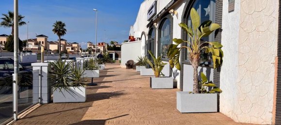 320m² Commercial property in Guardamar del Segura, Spain No. 184653 4