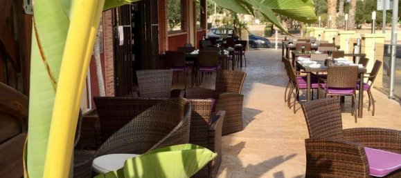 320m² Commercial property in Guardamar del Segura, Spain No. 184653 2