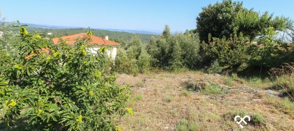  Land in Viseu, Portugal No. 73813 4