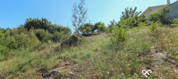  Land in Viseu, Portugal No. 73813 7