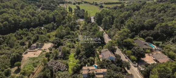 6 bedrooms House in Sa Pobla, Spain No. 157167 6