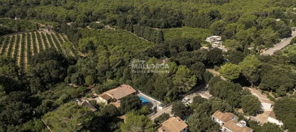 6 bedrooms House in Sa Pobla, Spain No. 157167 9