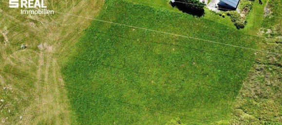 Grundstück in Liezen, Austria, Nr. 244655 4