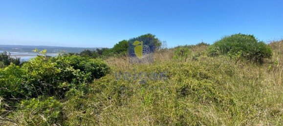 Terreno em Foz do Arelho, Portugal 4948 m² N.º 127942 8