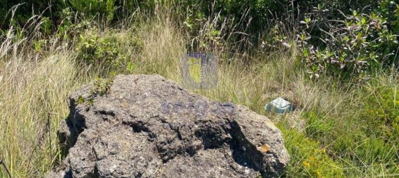 Terreno em Foz do Arelho, Portugal 4948 m² N.º 127942 4