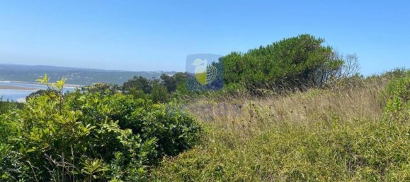 Terreno em Foz do Arelho, Portugal 4948 m² N.º 127942 6