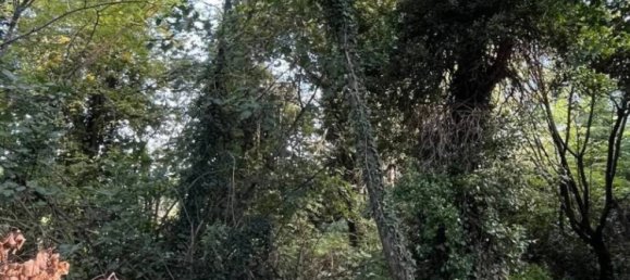 7 bedrooms Villa in Rivanazzano Terme, Italy No. 58979 4