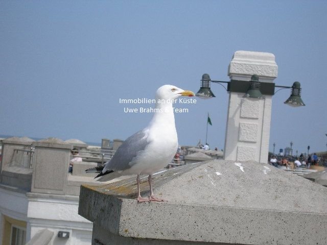 12 rooms Building in Leer, Germany No. 24945