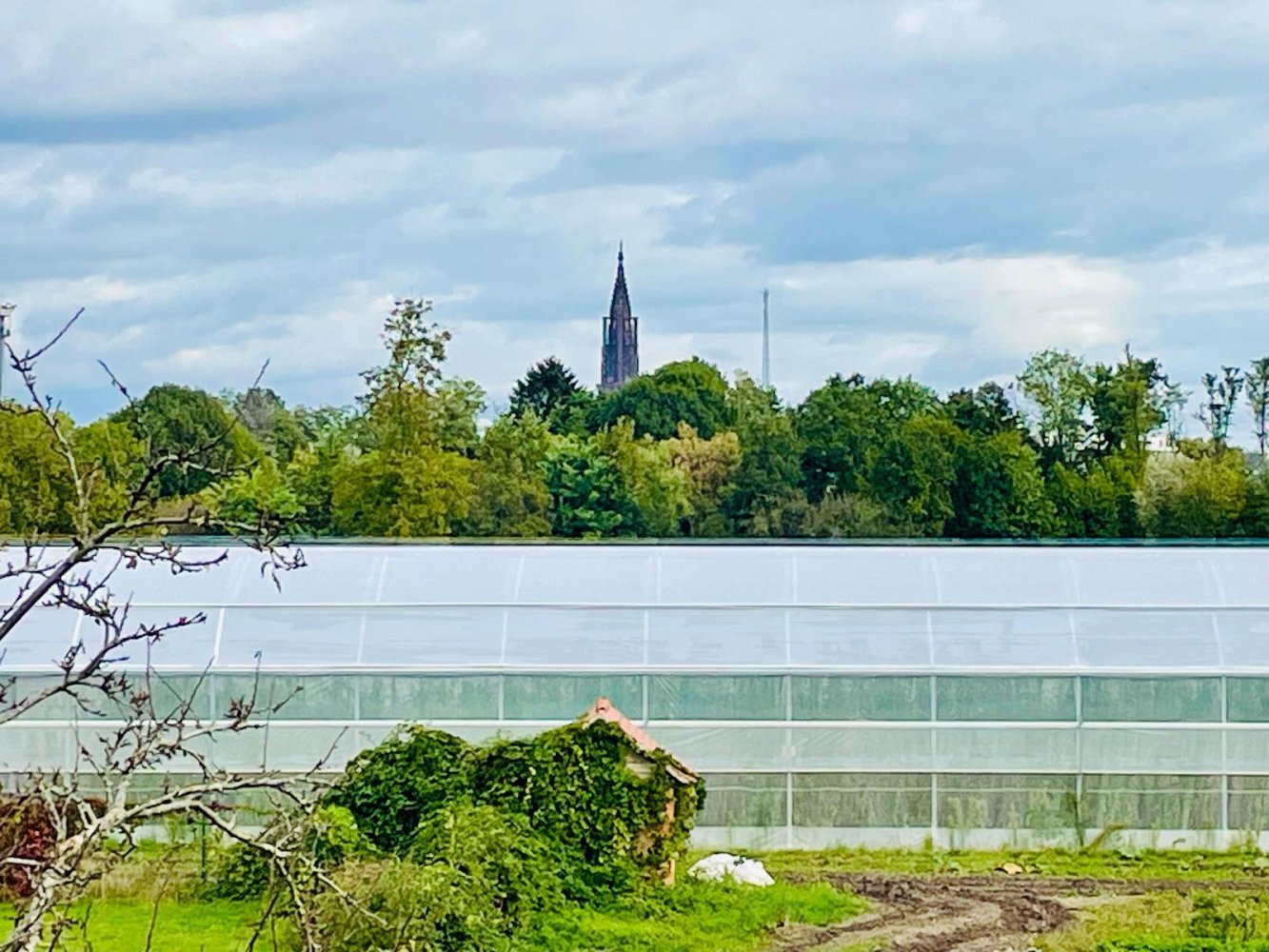 2 Schlafzimmer Wohnung in Strasbourg, France, Nr. 237202