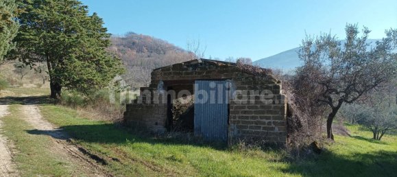 5 bedrooms House in Assisi, Italy No. 5563 13