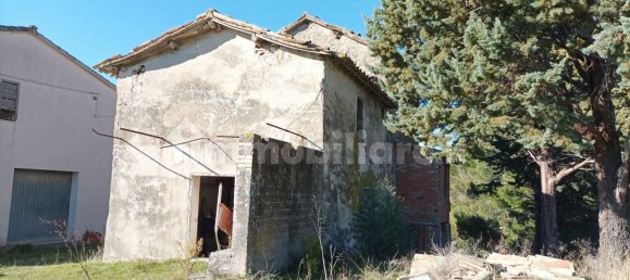 5 bedrooms House in Assisi, Italy No. 5563 10