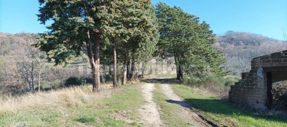 5 bedrooms House in Assisi, Italy No. 5563 12