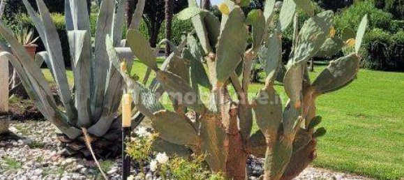 6 Schlafzimmer Villa in San Giorgio in Bosco, Italy, Nr. 358890 20