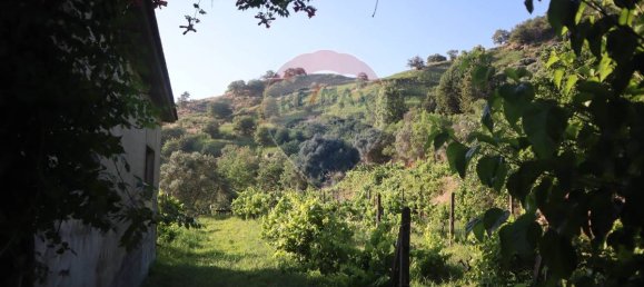 80000m² Land in Castiglione di Sicilia, Italy No. 275826 12