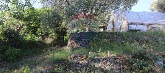 80000m² Land in Castiglione di Sicilia, Italy No. 275826 18