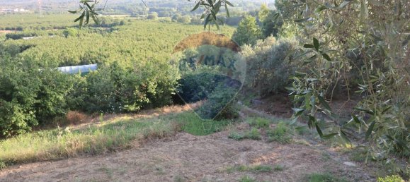 80000m² Land in Castiglione di Sicilia, Italy No. 275826 15