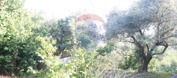 80000m² Land in Castiglione di Sicilia, Italy No. 275826 8