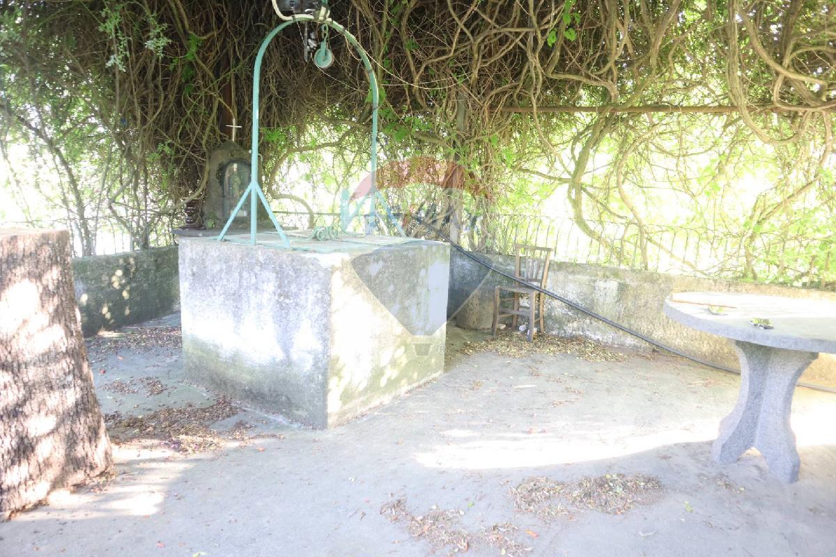 80000m² Land in Castiglione di Sicilia, Italy No. 275826