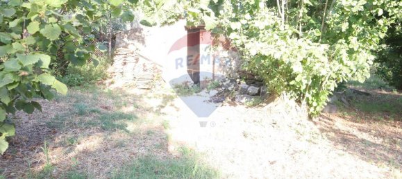 80000m² Land in Castiglione di Sicilia, Italy No. 275826 10