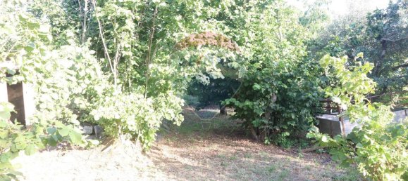 80000m² Land in Castiglione di Sicilia, Italy No. 275826 9