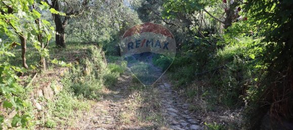 80000m² Land in Castiglione di Sicilia, Italy No. 275826 14