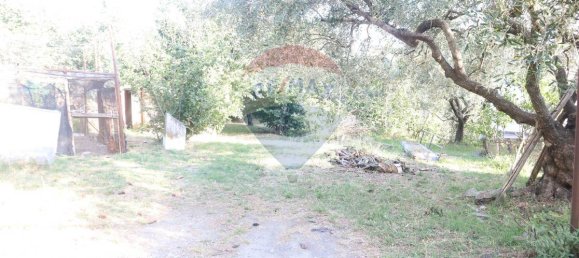 80000m² Land in Castiglione di Sicilia, Italy No. 275826 4