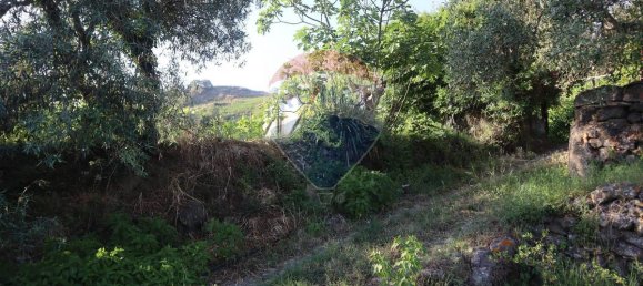 80000m² Land in Castiglione di Sicilia, Italy No. 275826 19