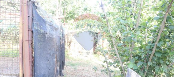 80000m² Land in Castiglione di Sicilia, Italy No. 275826 7