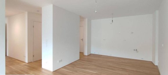3-Zimmer Wohnung in Linz, Austria, Nr. 174234 3