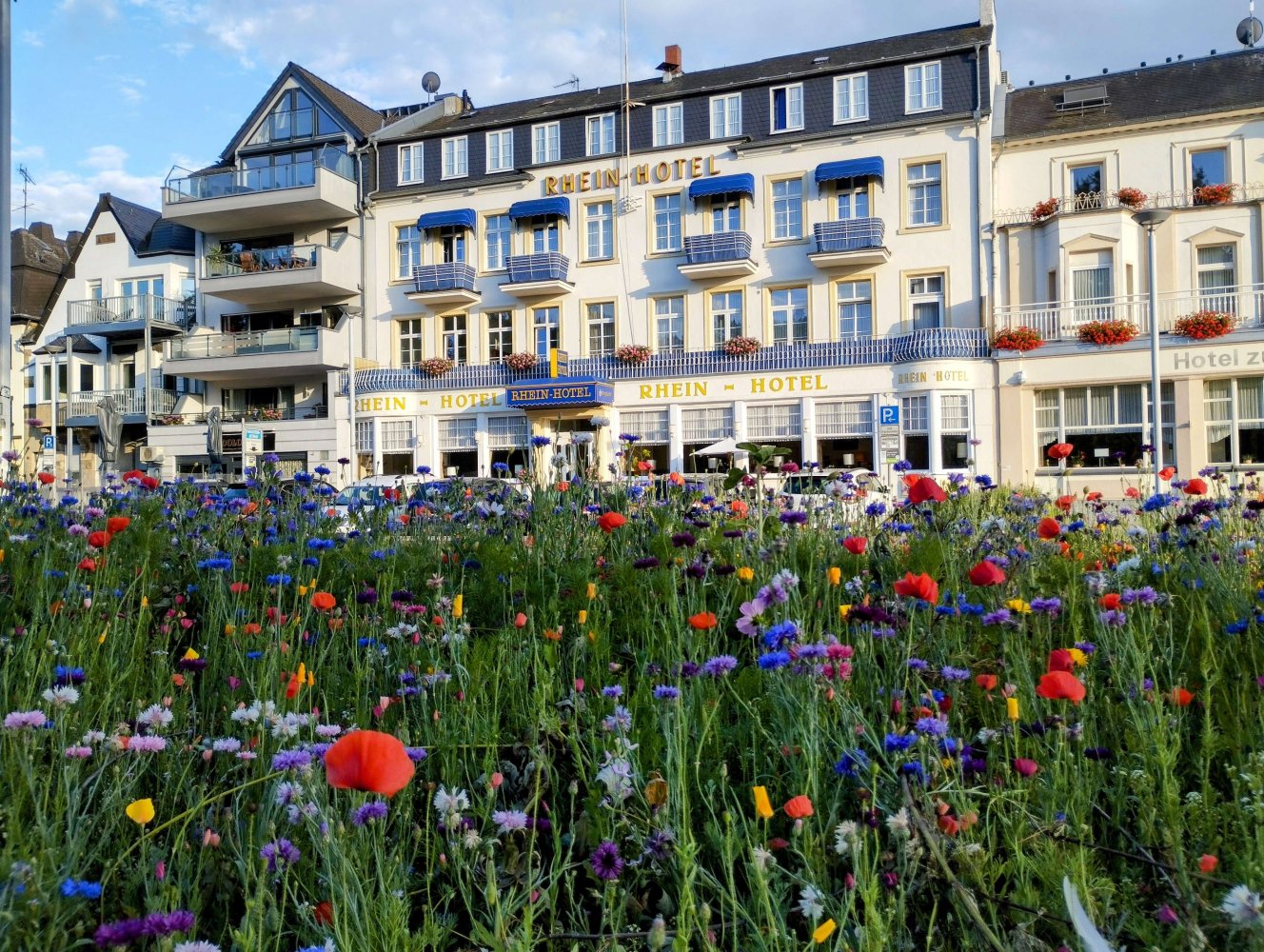 Hotel in Mayen-Koblenz, Germany 1039m², Nr. 227513