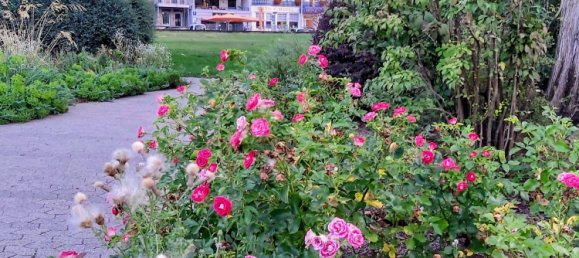 Hotel in Mayen-Koblenz, Germany 1039m², Nr. 227513 11