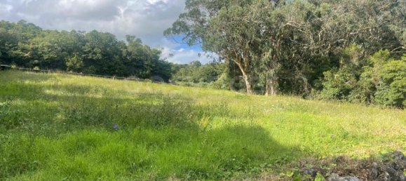 1430m² Land in Praia da Vitoria, Portugal No. 332705 18