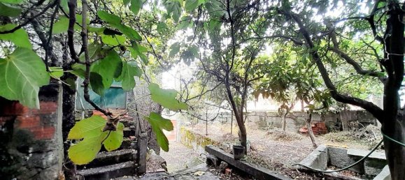 3 bedrooms House in Seixo da Beira, Portugal No. 15594 30