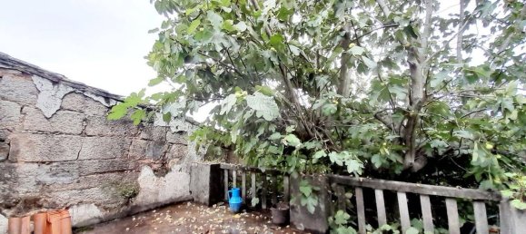 3 bedrooms House in Seixo da Beira, Portugal No. 15594 14