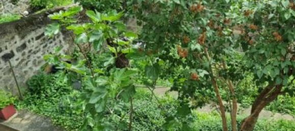 6 Schlafzimmer Wohnung in Saint-Etienne, France, Nr. 200092 13