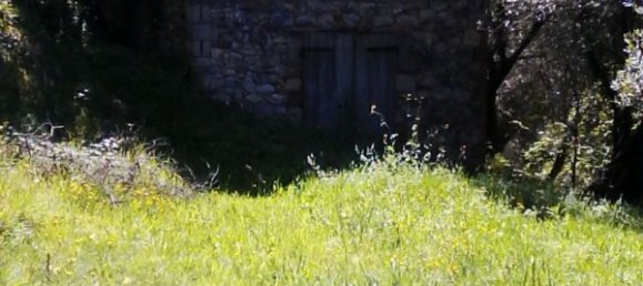 140m² Land in Camaiore, Italy No. 174895 5