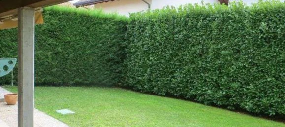 4-Zimmer Haus in Cogliate, Italy, Nr. 3687 5