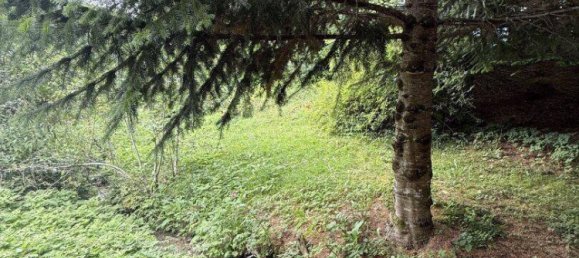  Castillos de 6 habitaciónes en Admont, Austria No. 212992 34