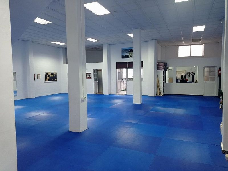 206m² Commercial property in Antequera, Spain No. 227045